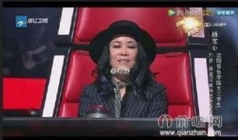 爆料那英夜场出道视频合集,揭秘歌手背后的夜场传奇