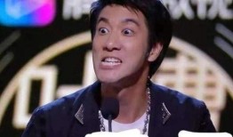 吃瓜网红王力宏简介视频,吃瓜网红背后的音乐传奇