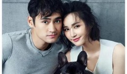 娱乐圈圈吃瓜爆料视频,吃瓜视频背后的惊人真相