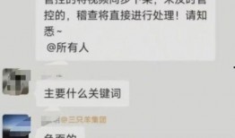 三只羊员工爆料视频大全,揭秘职场真相与幕后故事